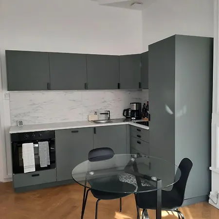 Haussmannien Renove Et Climatise, Centre De Lyon Apartment Exterior photo