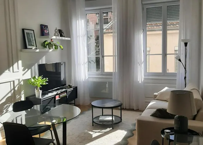 Haussmannien Renove Et Climatise, Centre De Lyon